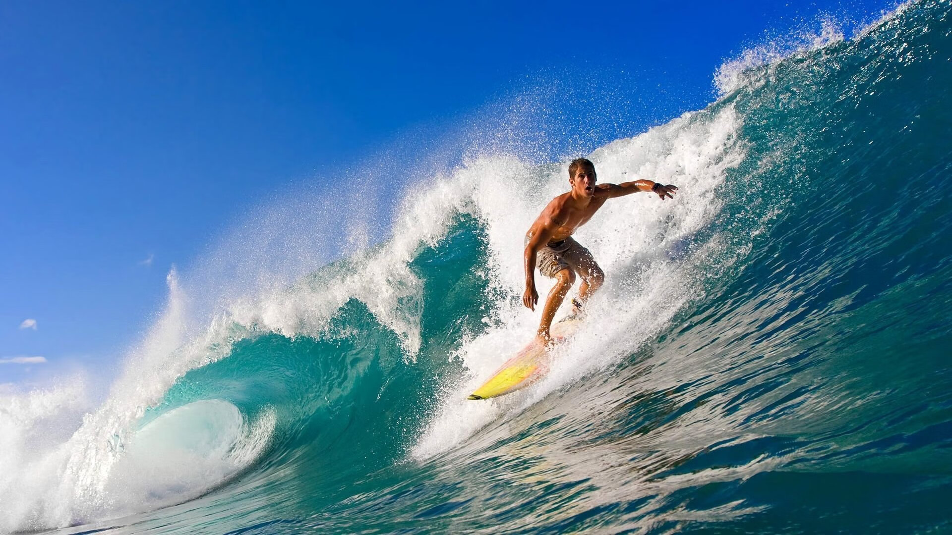 全国羽毛球锦标赛圆满落幕 新锐选手表现抢眼